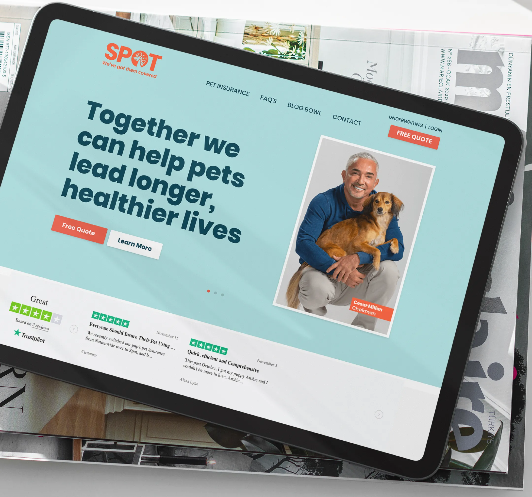 Spot Pet Insurance website on tablet